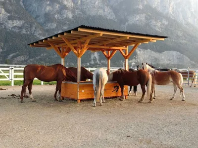 Original HAYMUNSTER DeLuxe 1.8 DoubleBale