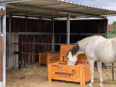 Original HORSEFEED BOX FULL TIME CONTROLLED DEEP LONG