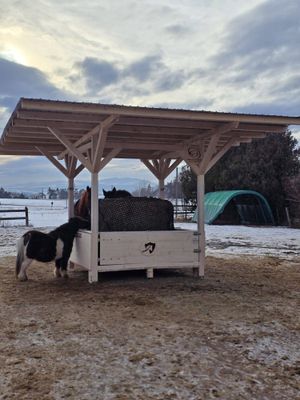 Original HAYMUNSTER DeLuxe 1.8