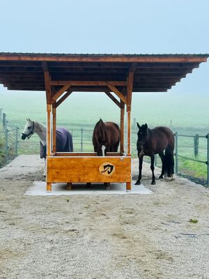 Original HAYMUNSTER Basic 1.8 Original HAYMUNSTER Basic 1.8