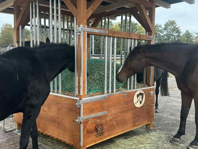 Original HAYMUNSTER DeLuxe SAFETY RACK 1.8 Original HAYMUNSTER DeLuxe SAFETY RACK 1.8