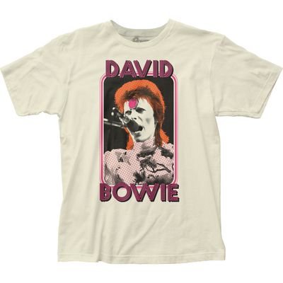 David Bowie Framed 3 Color Mens T Shirt Vintage White Retro Pop Classics