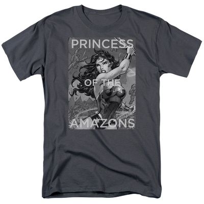 Justice League Princess of the Amazons Mens T Shirt Charcoal Retro Pop Classics