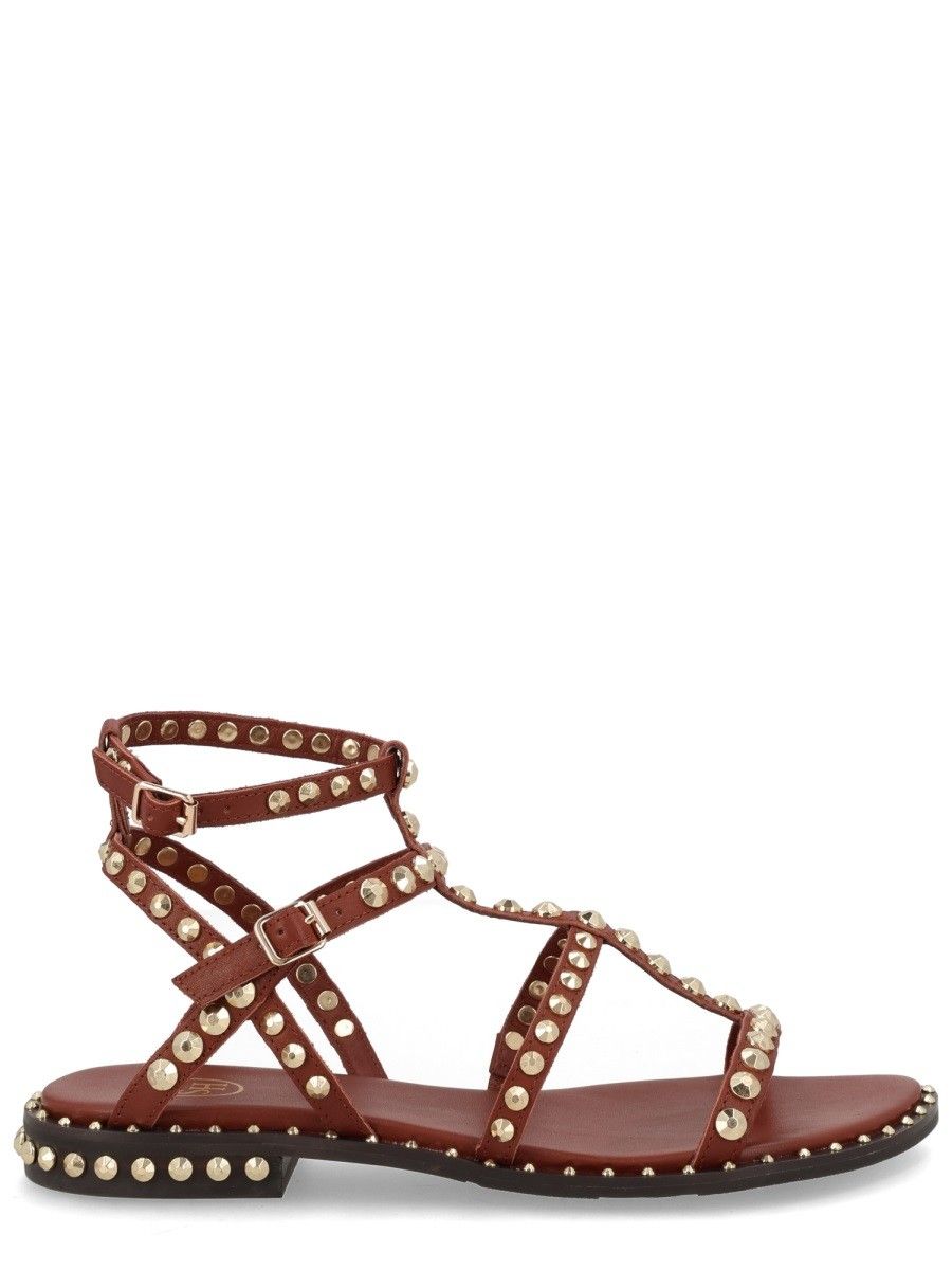 Ash Gladiator Brown Sandals