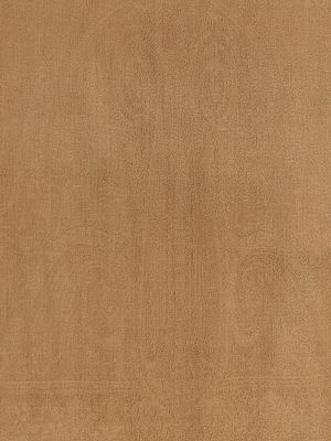 Max Mara MxaPalmeti Scarf