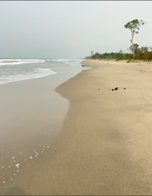 L. 9,500,000 TERRENO DE PLAYA CUYAMEL OMOA