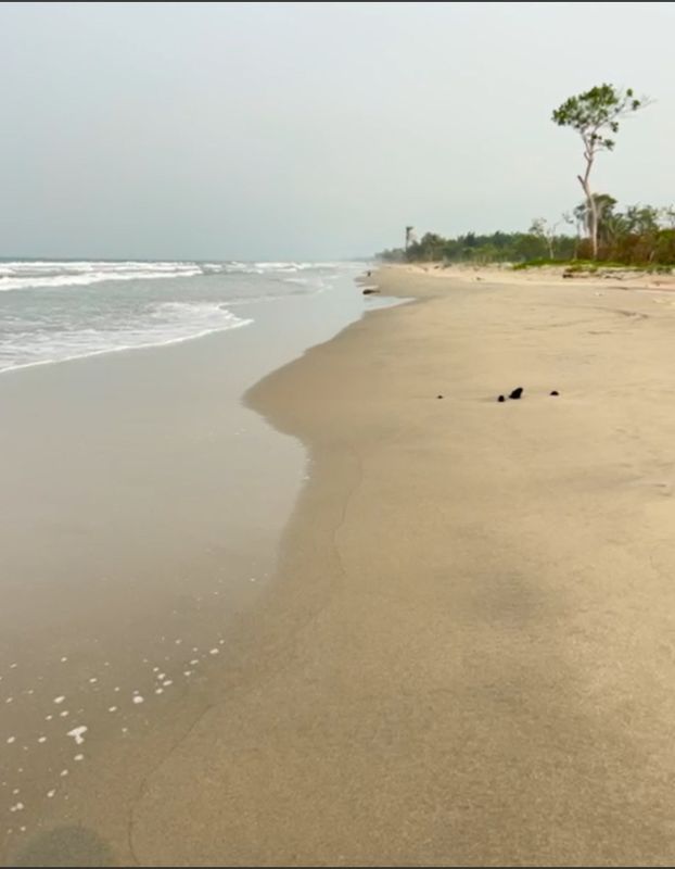 L. 9,500,000 TERRENO DE PLAYA CUYAMEL OMOA