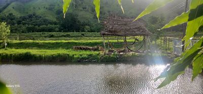 Propiedad Productora en La Ceiba | 14,000,000