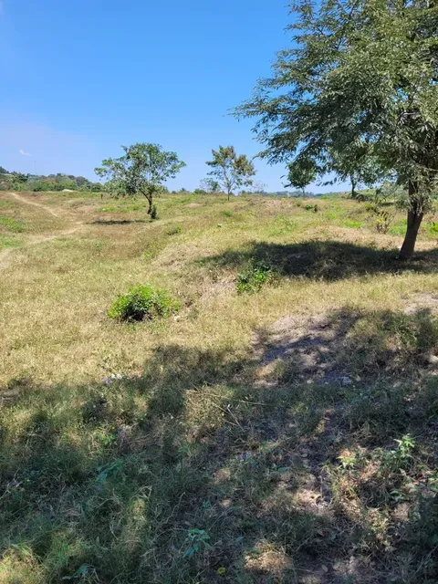 Terreno en Colonia Lopez Arellano 10,728v² | $643,680