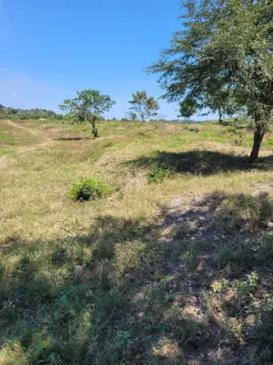 Terreno en Colonia Lopez Arellano 10,728v² | $643,680
