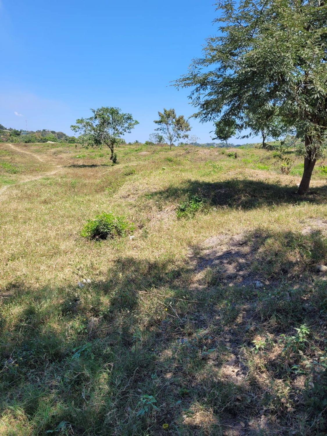 Terreno 10,728 varas en Lopez Arellano | $60 por v²