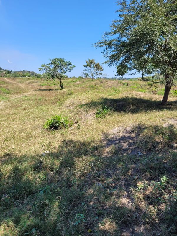 Terreno 10,728 varas en Lopez Arellano | $60 por v²