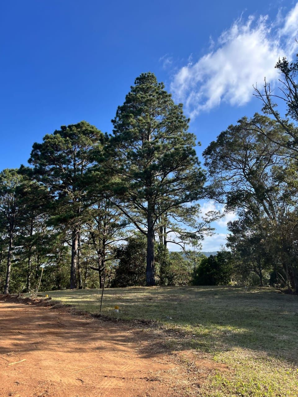 Terreno en Llano la Virgen 1.18 manzanas, | L 8,000,000