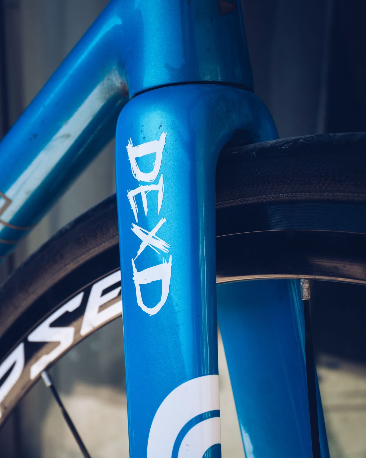 DEXD STICKER