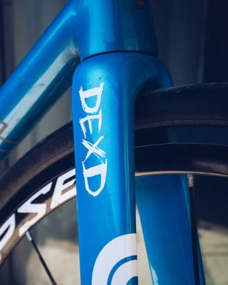 DEXD STICKER