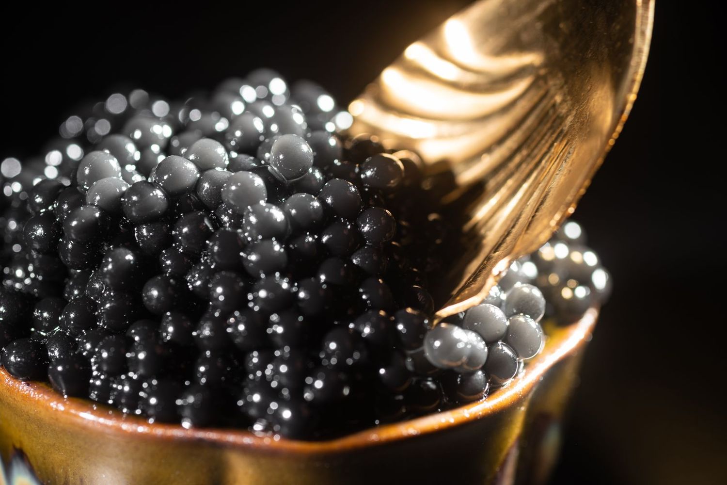 Caviar Bio en poudre