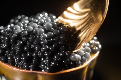 Caviar Bio en poudre