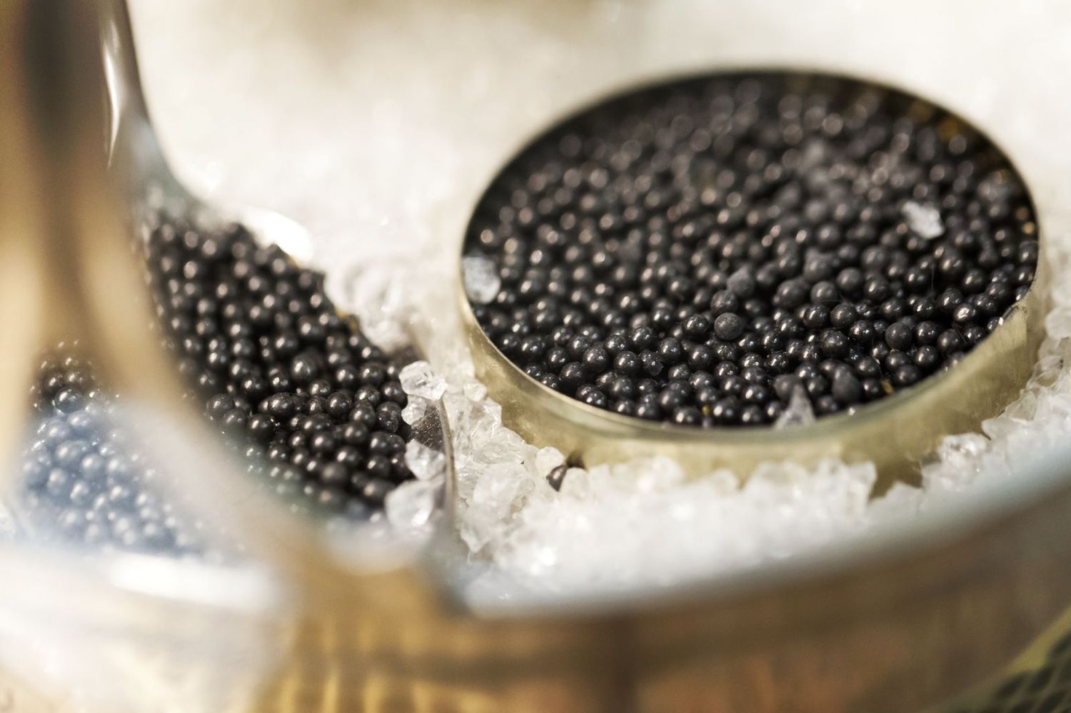 caviar oscietre premium le royal selection 30 gr