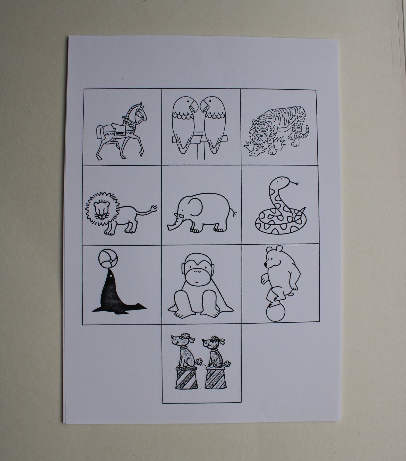 Kleurprent dieren (19x)