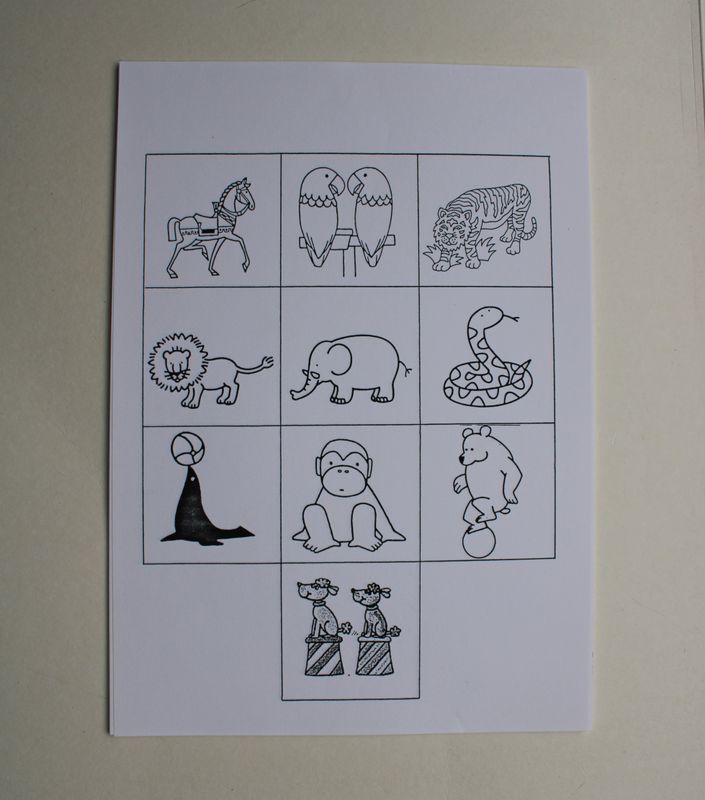 Kleurprent dieren (19x)