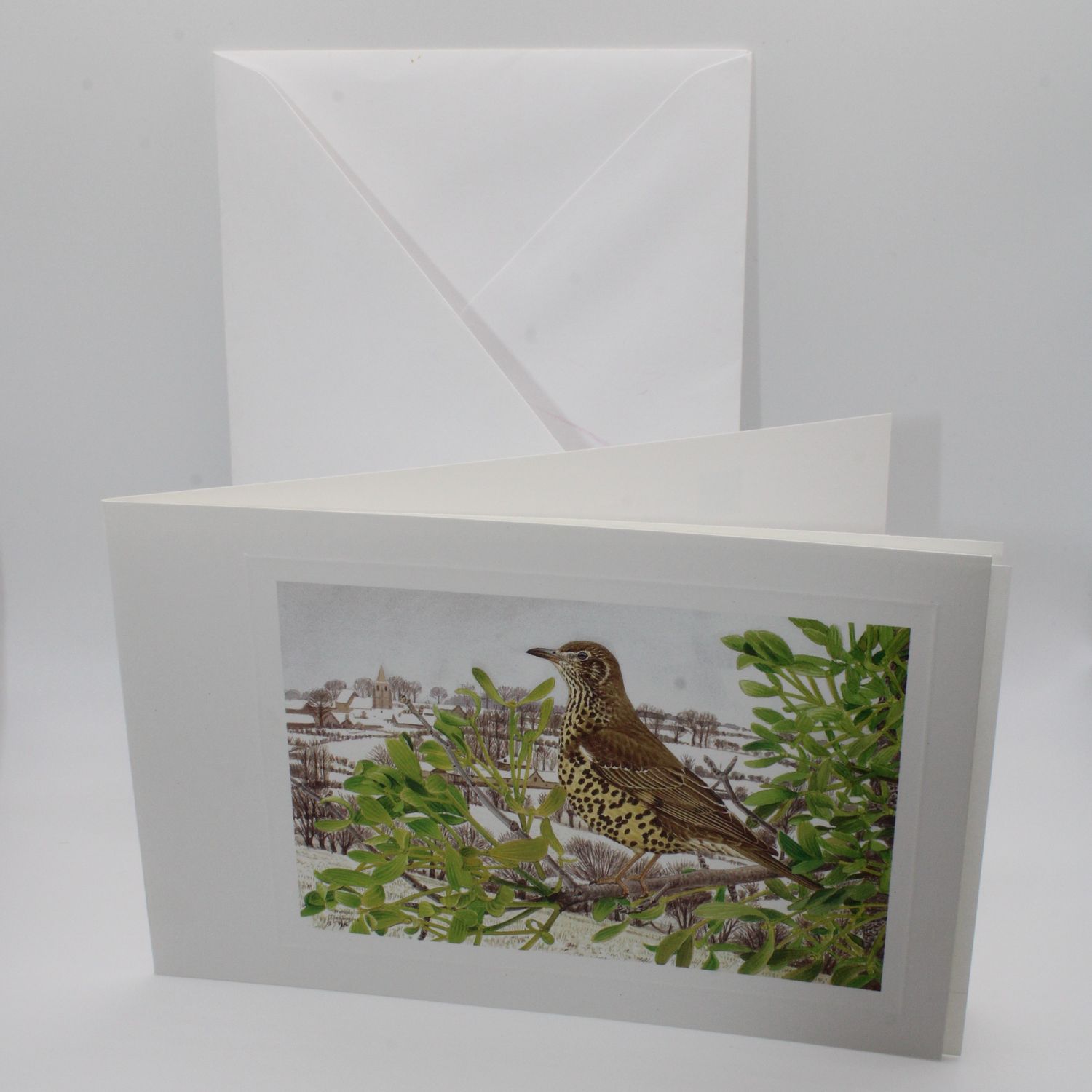 Kaartje met vogel &amp; envelop - Feestdagen