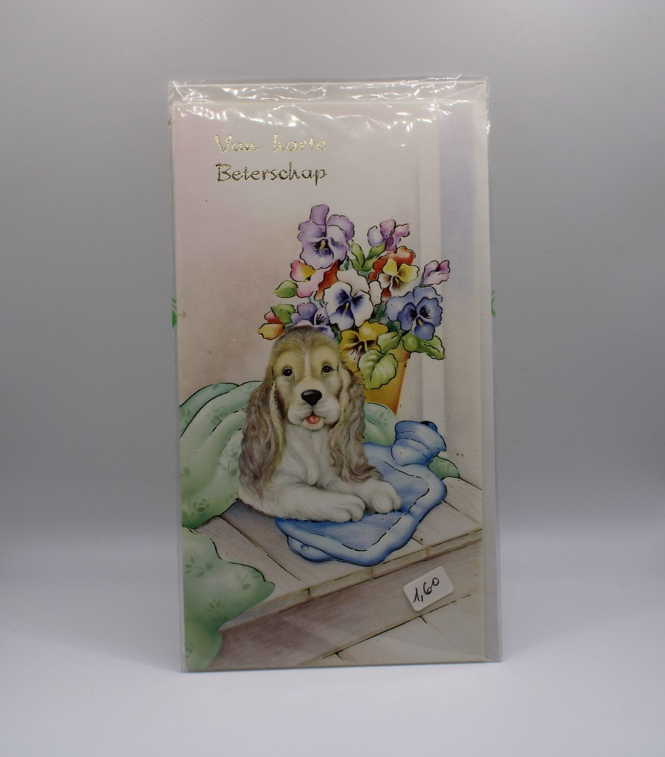Kaartje met hond &amp; envelop - Beterschap