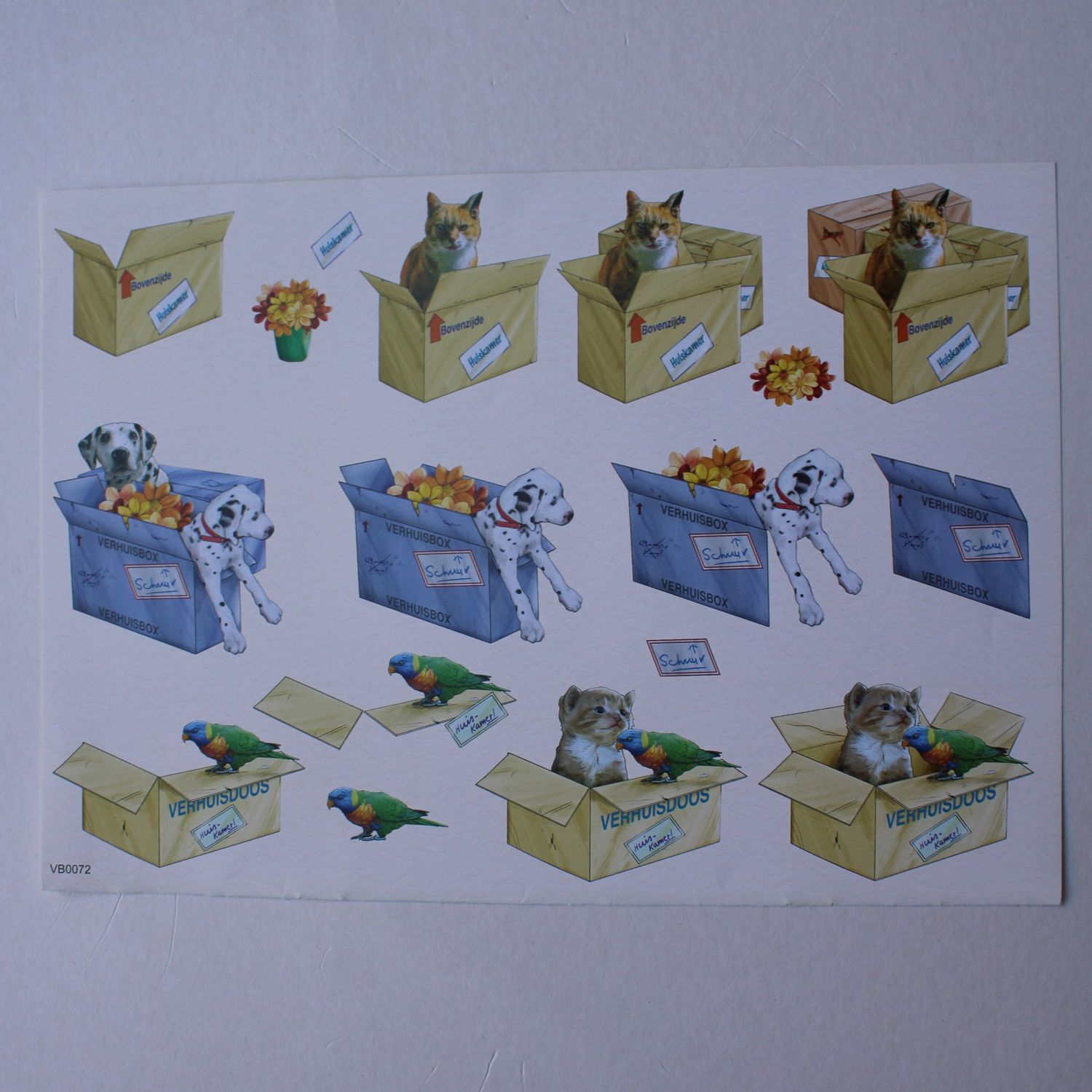 3D knipvel dieren in verhuisdozen