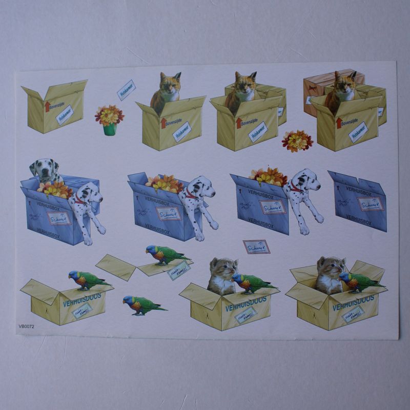 3D knipvel dieren in verhuisdozen