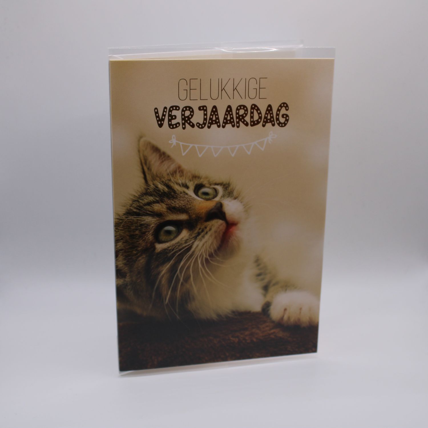 Kaartje met kat &amp; envelop - Verjaardag