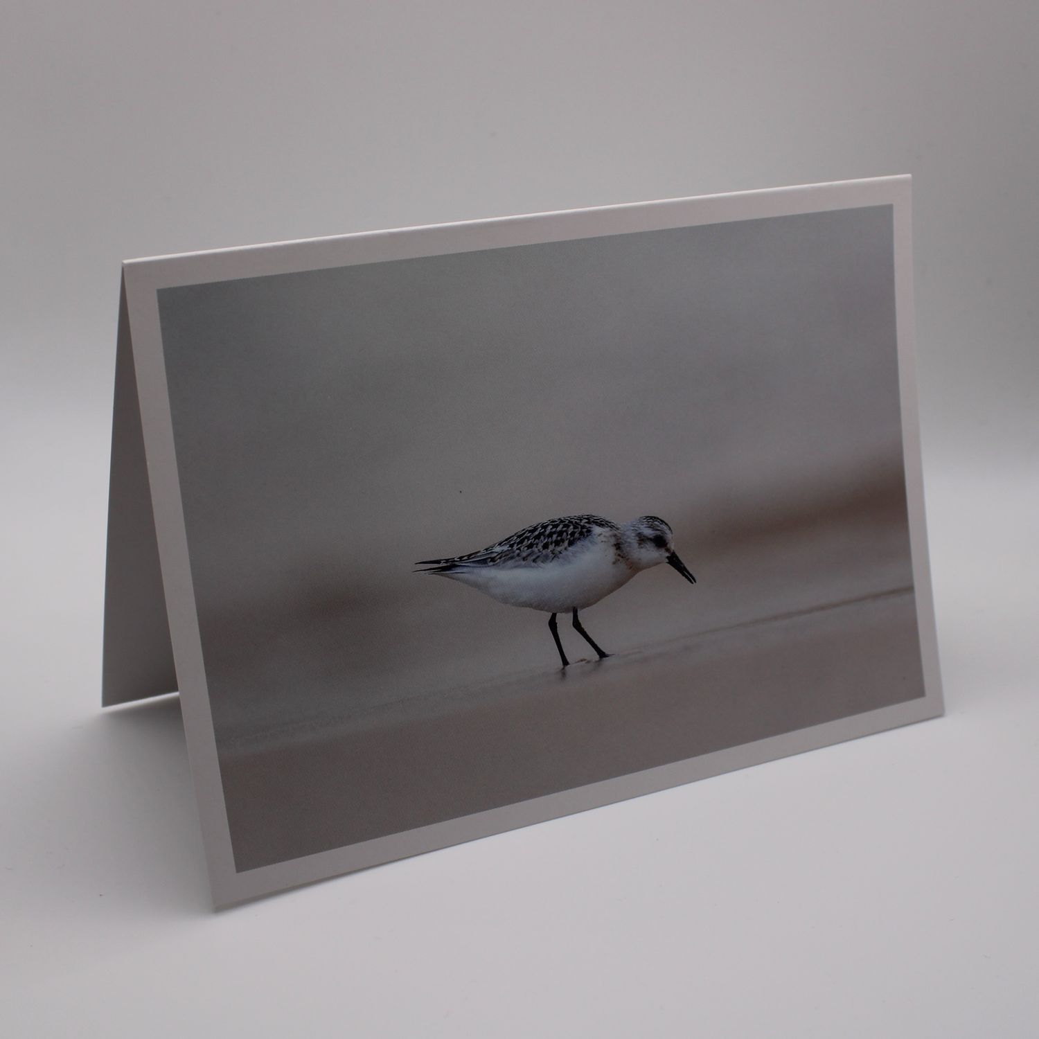 Kaartje met vogel