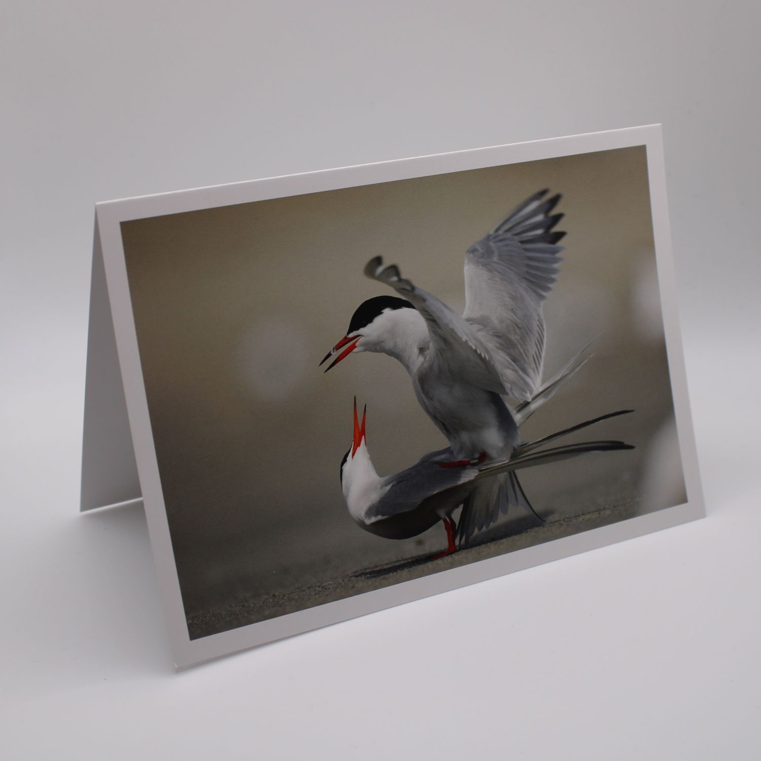 Kaartje met vogels