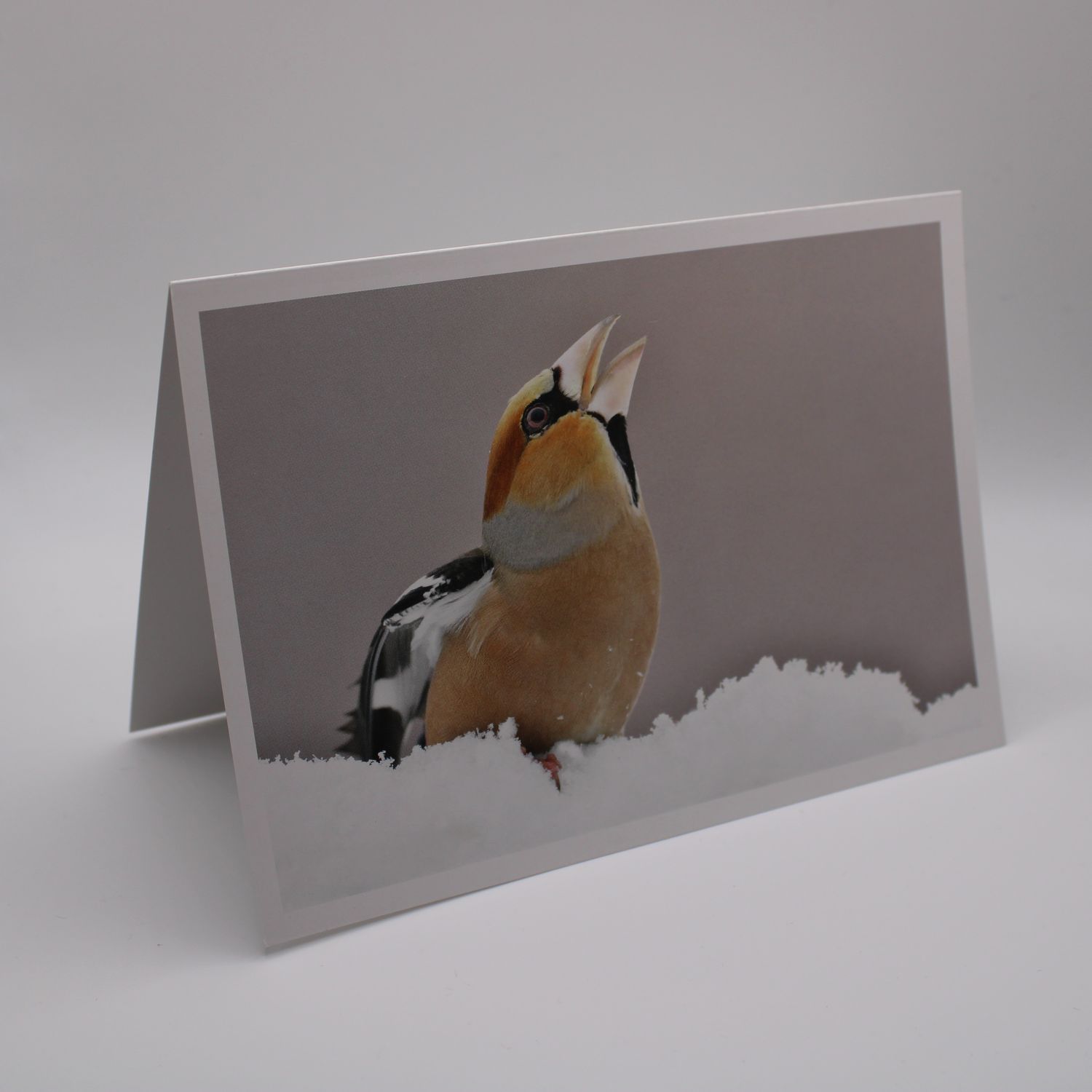 Kaartje met vogel