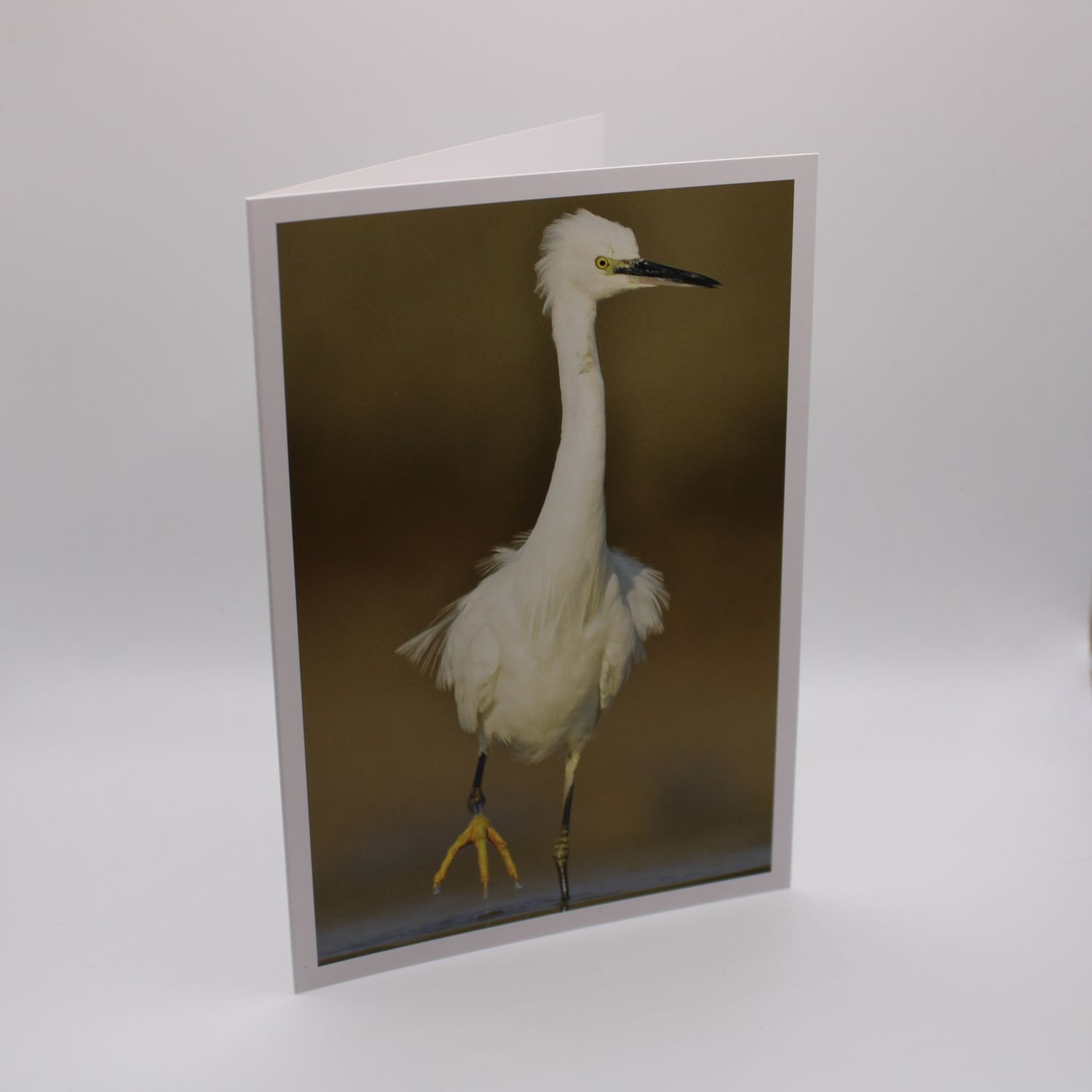 Kaartje met vogel