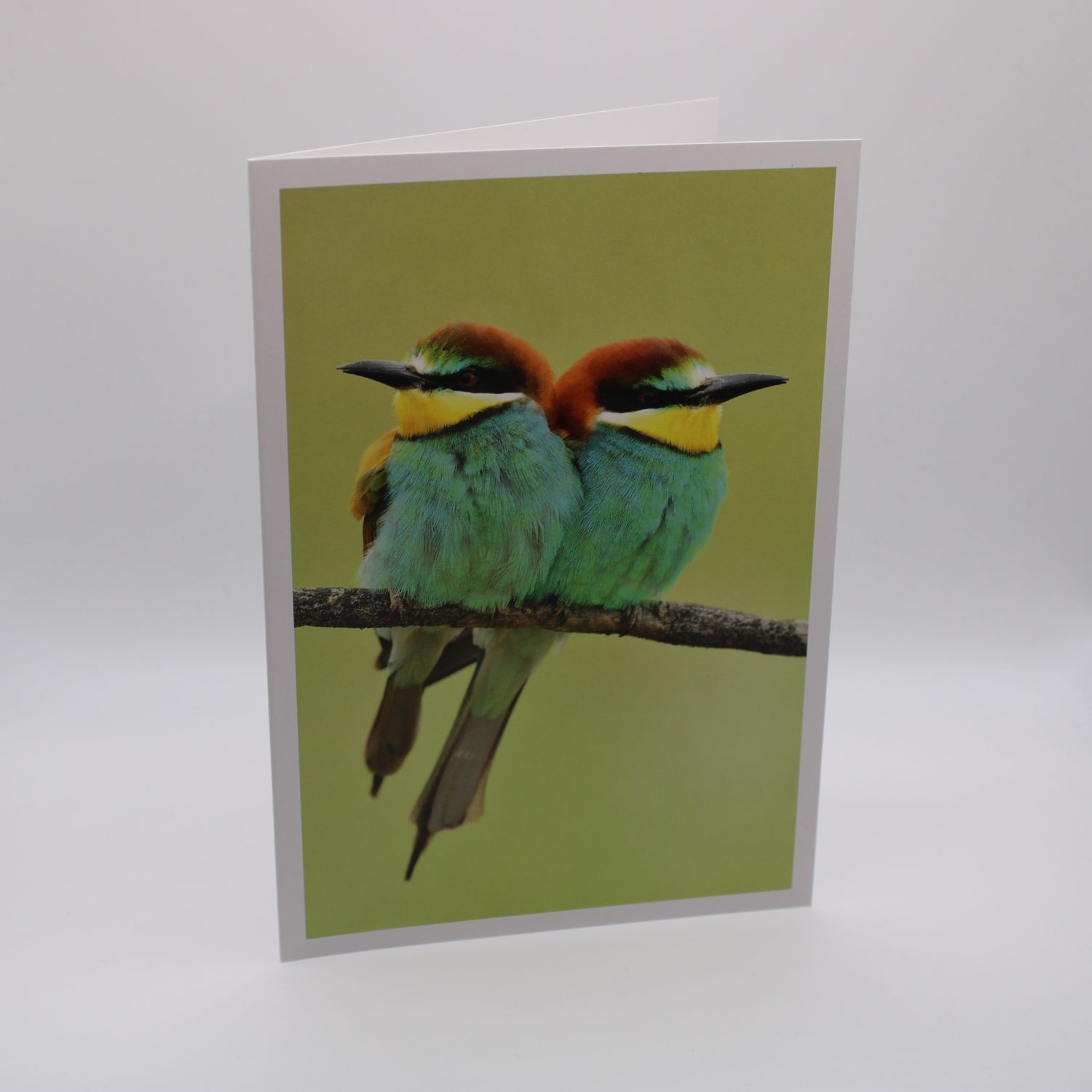 Kaartje met vogels