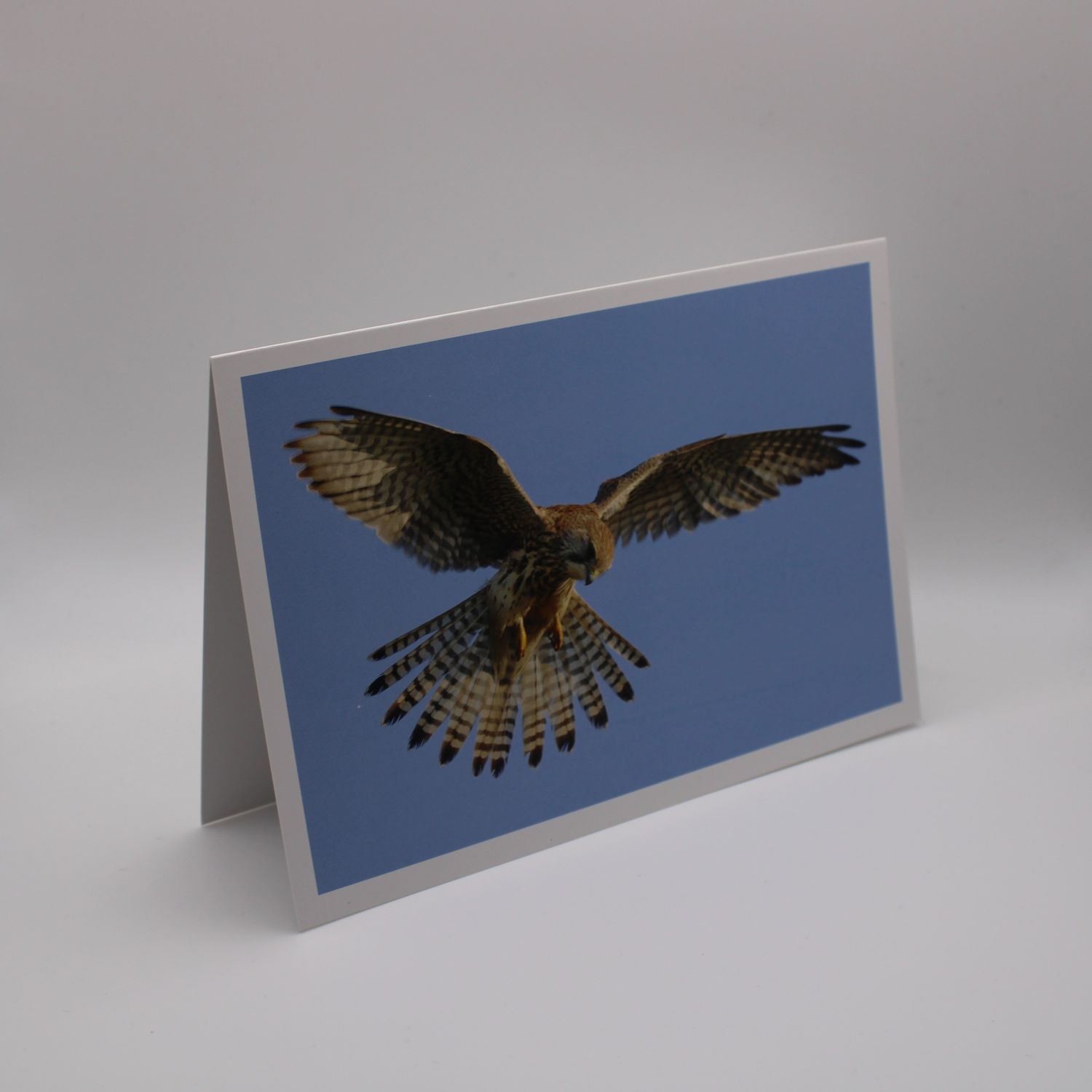 Kaartje met vogel