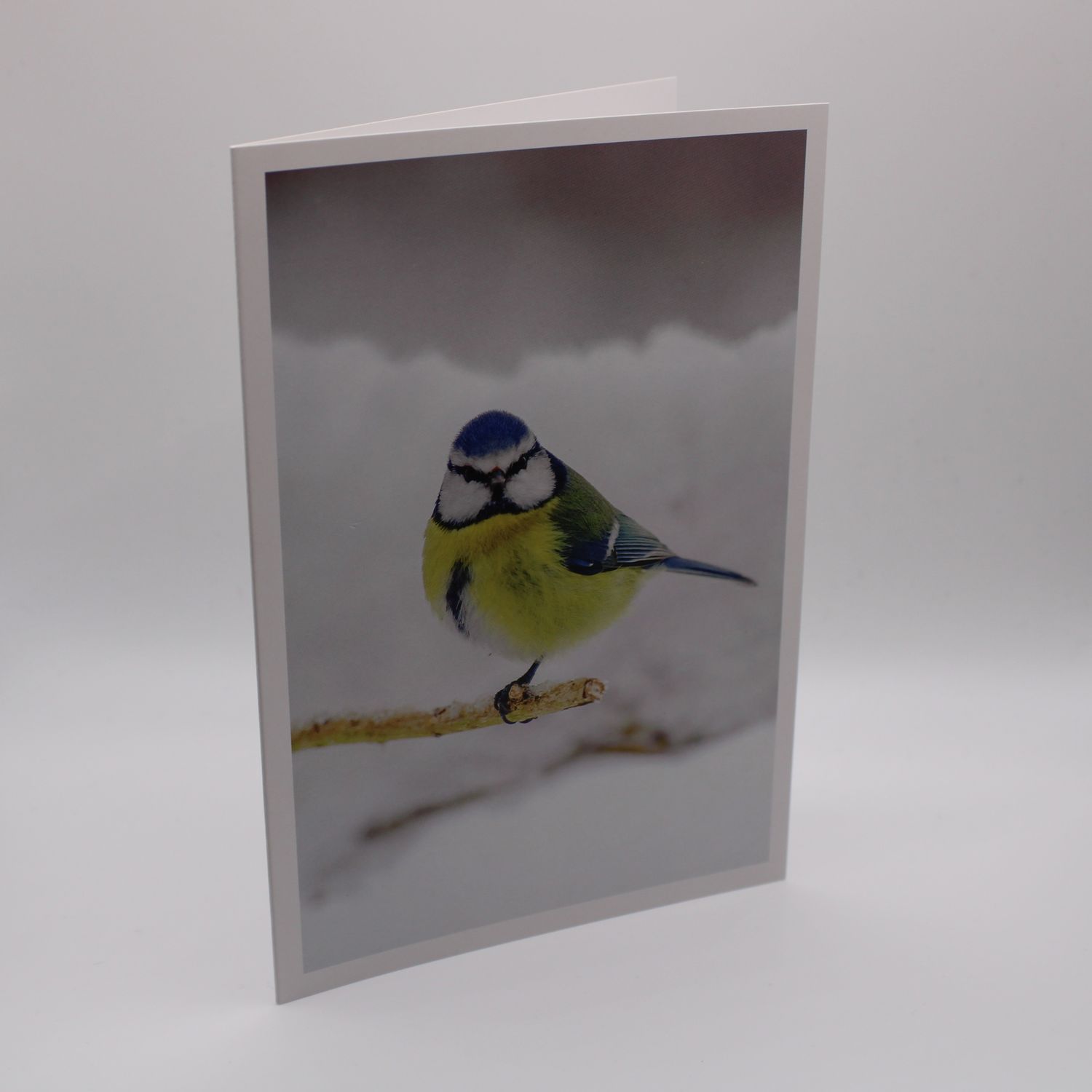 Kaartje met vogel