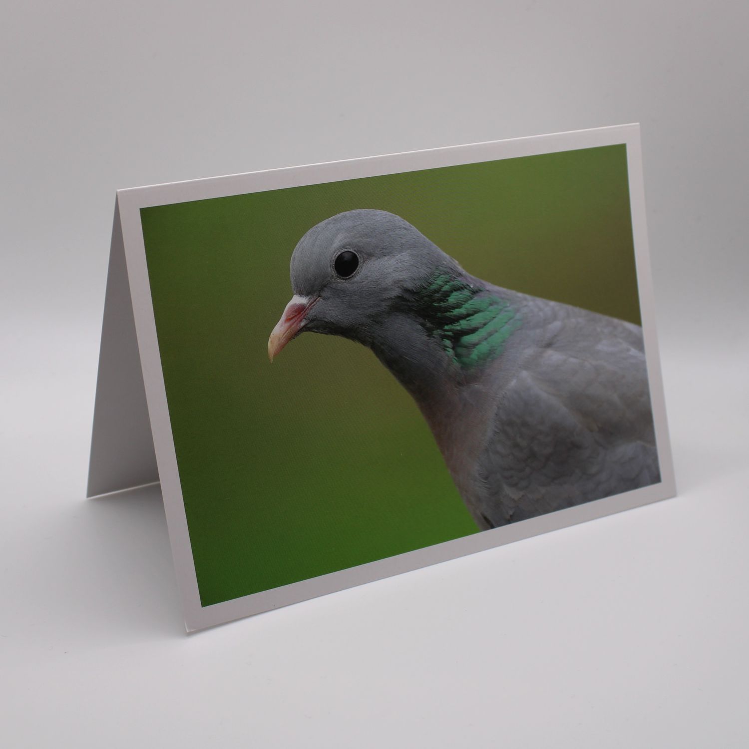 Kaartje met vogel