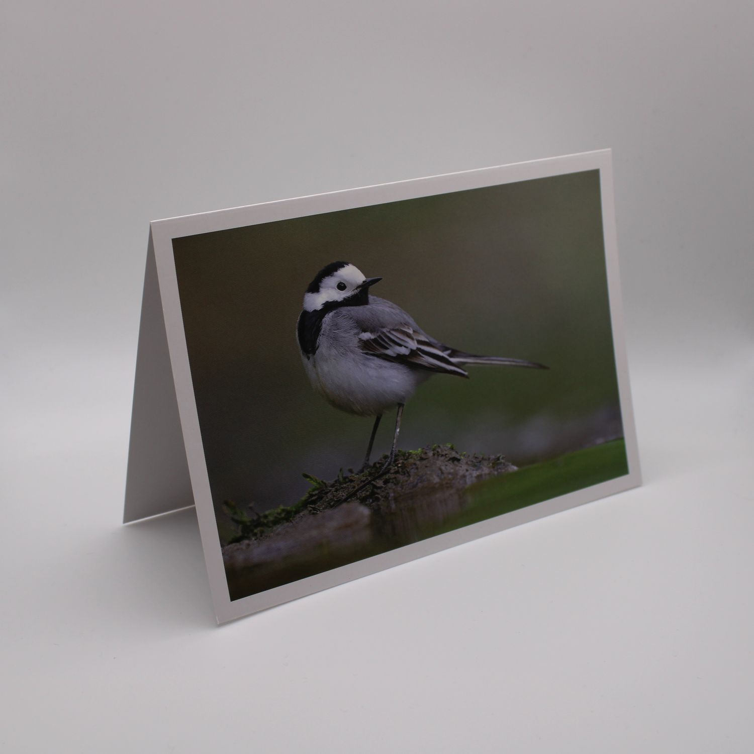 Kaartje met vogel