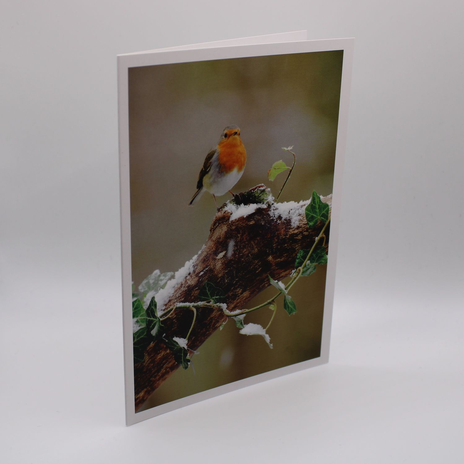 Kaartje met vogel