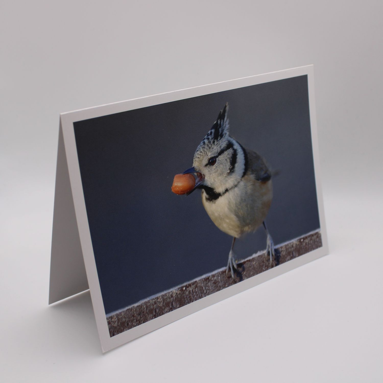 Kaartje met vogel