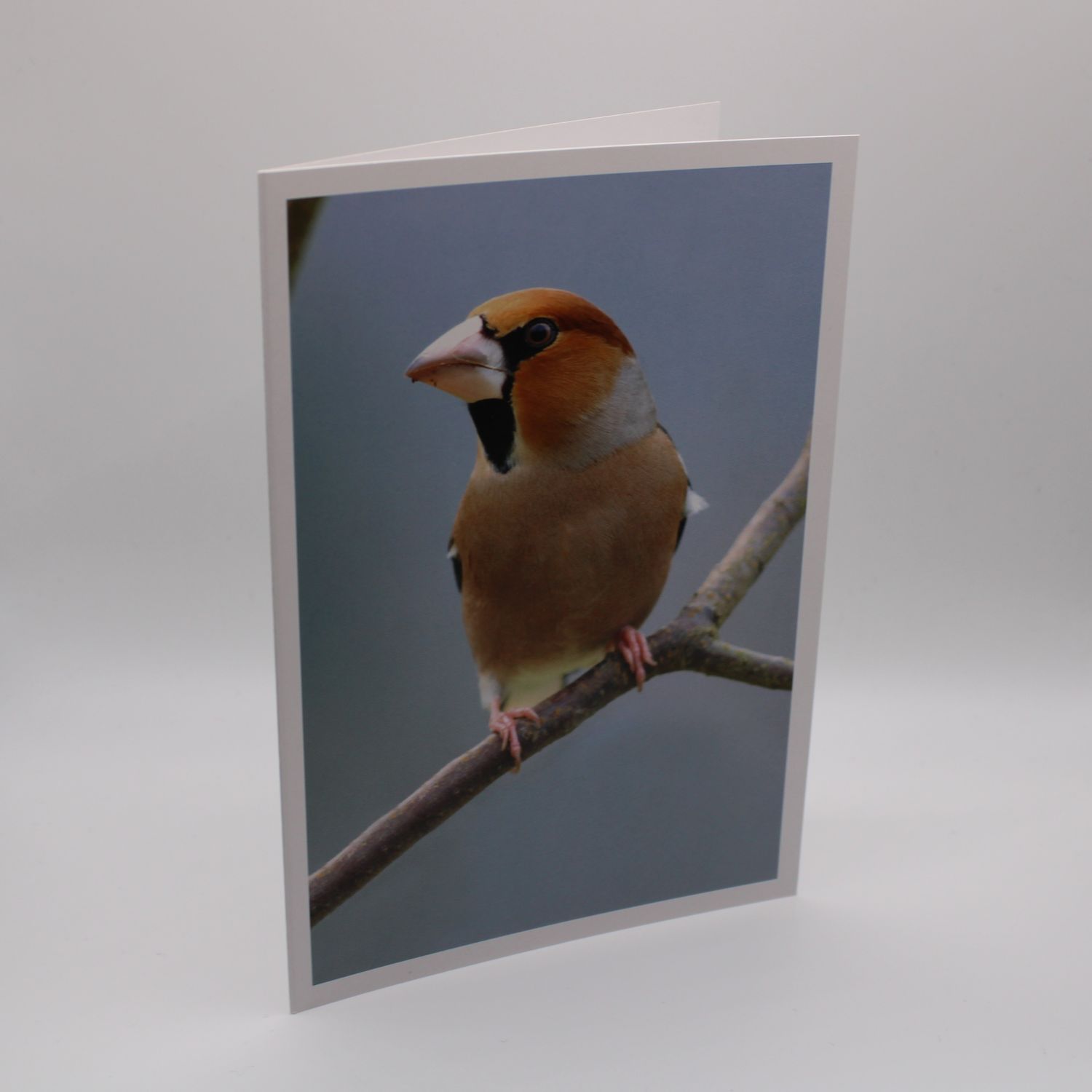 Kaartje met vogel
