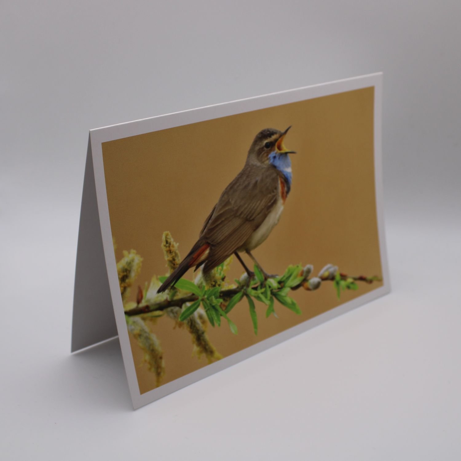 Kaartje met vogel