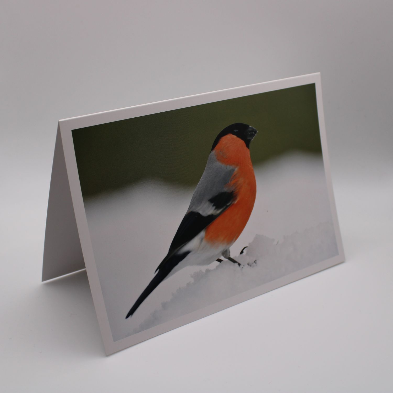 Kaartje met vogel