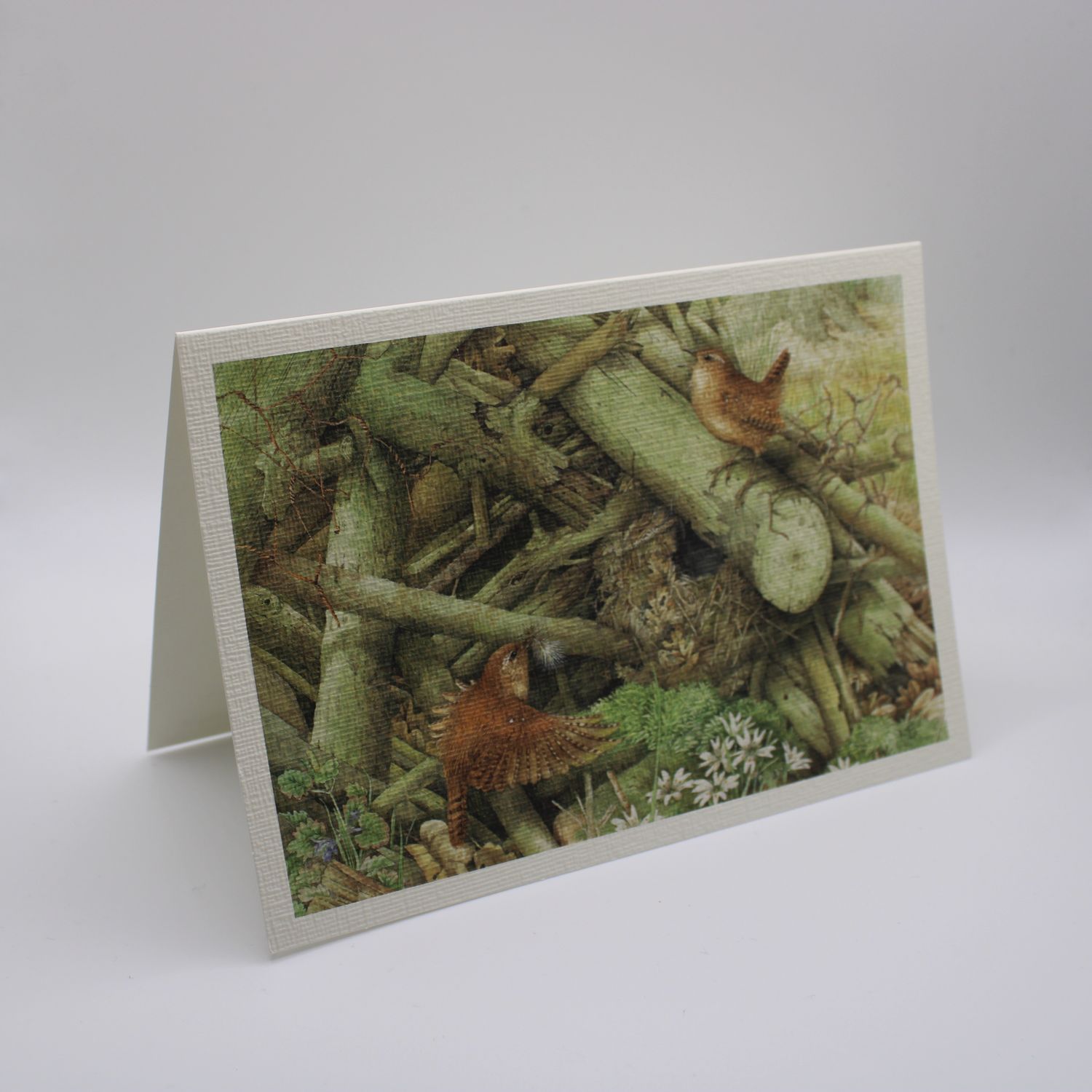 Kaartje met vogels