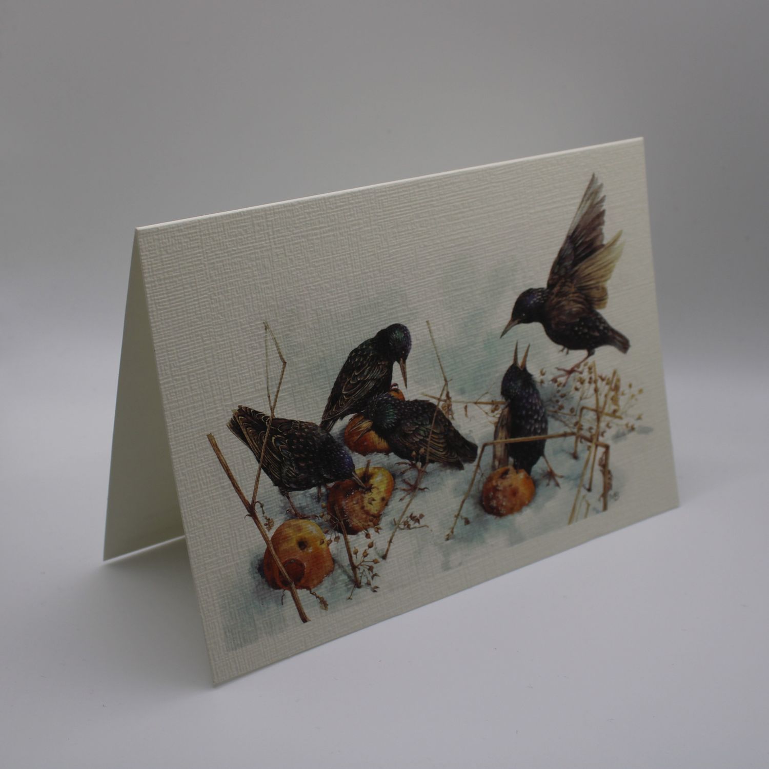 Kaartje met vogels