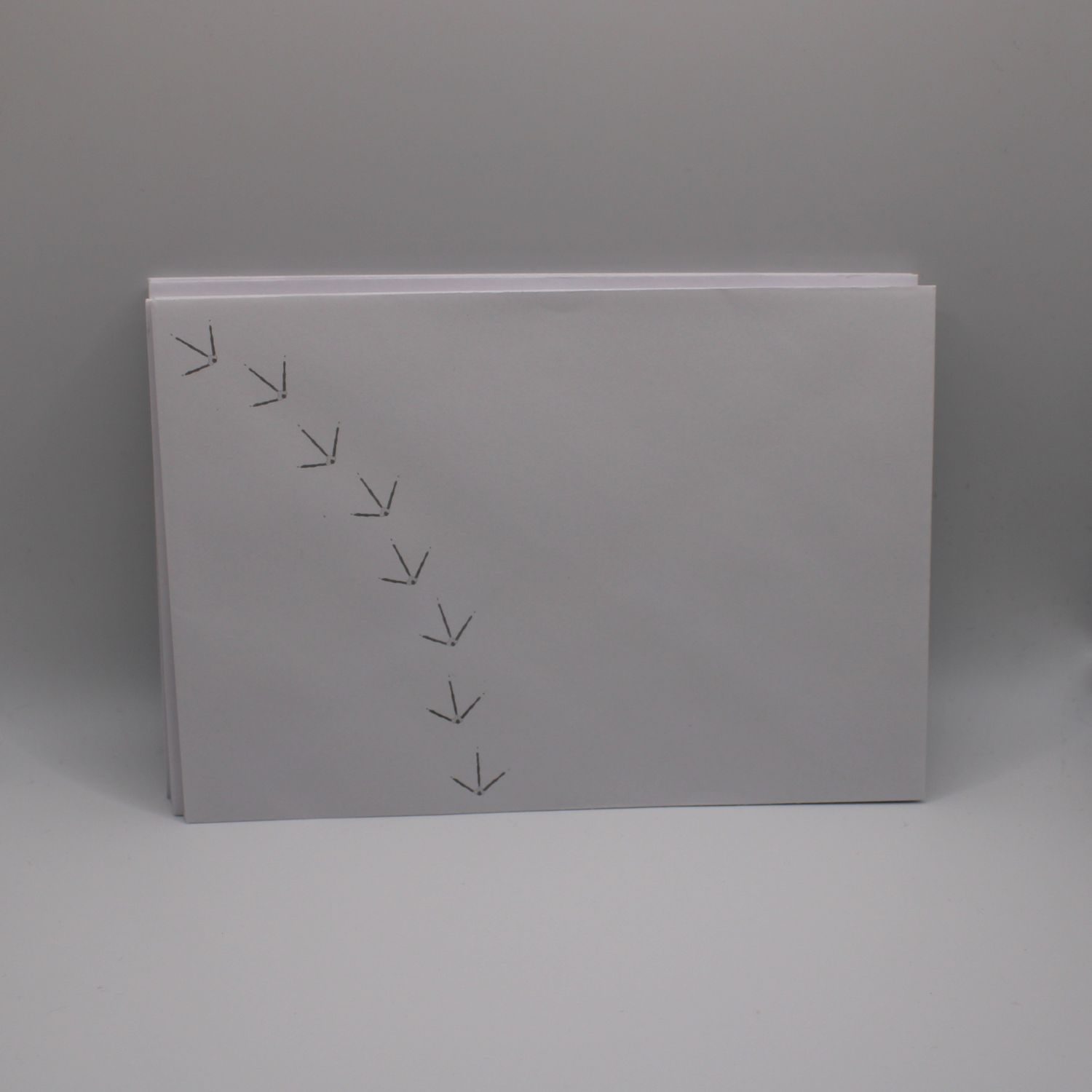 Set van 16 enveloppen met pootjes