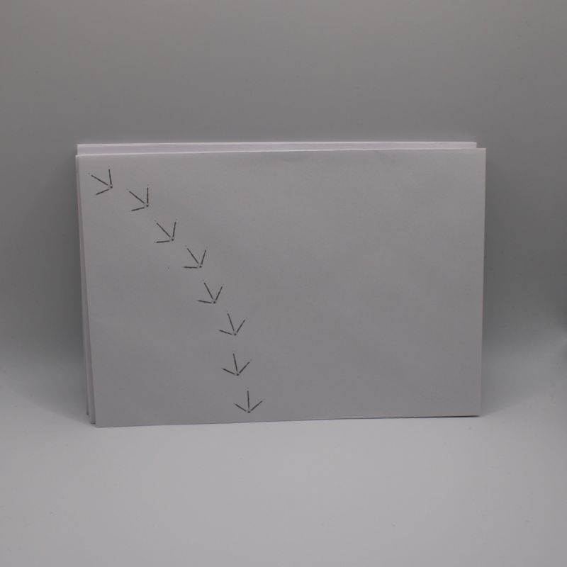 Set van 16 enveloppen met pootjes