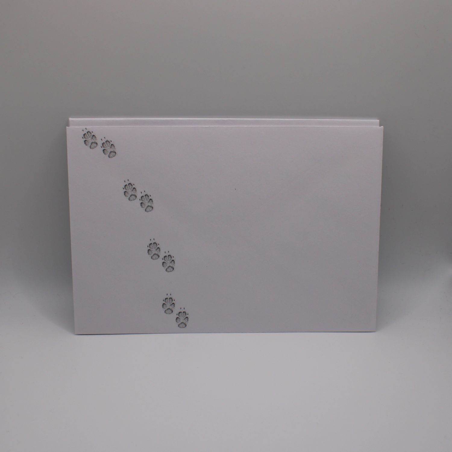 Set van 5 enveloppen met pootjes