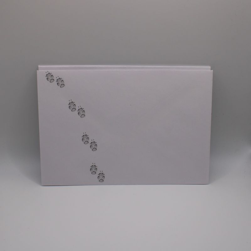 Set van 5 enveloppen met pootjes
