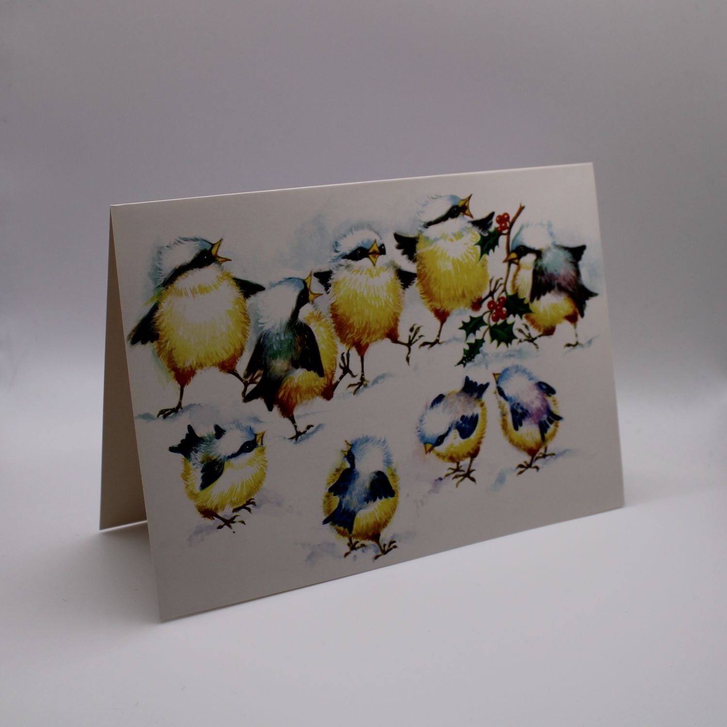 Kaartje met vogels